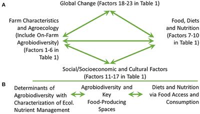 Integrating Social-Ecological and Political-Ecological Models of Agrobiodiversity With Nutrient Management of Keystone Food Spaces to Support SDG 2